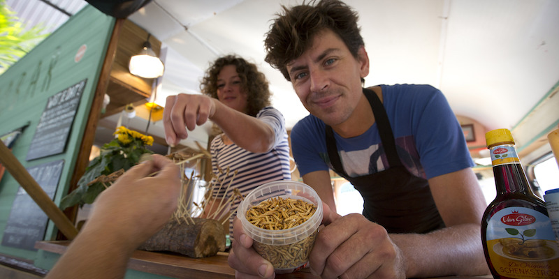 Il gestore di un'attività di "street food" mostra delle tarme della farina ad Anversa, in Belgio, il 21 settembre 2014 (AP Photo/Virginia Mayo, La Presse)