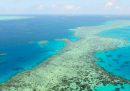L'UNESCO dice che la Grande Barriera Corallina australiana dovrebbe essere inserita nell'elenco dei siti naturali «in pericolo» per via dei cambiamenti climatici