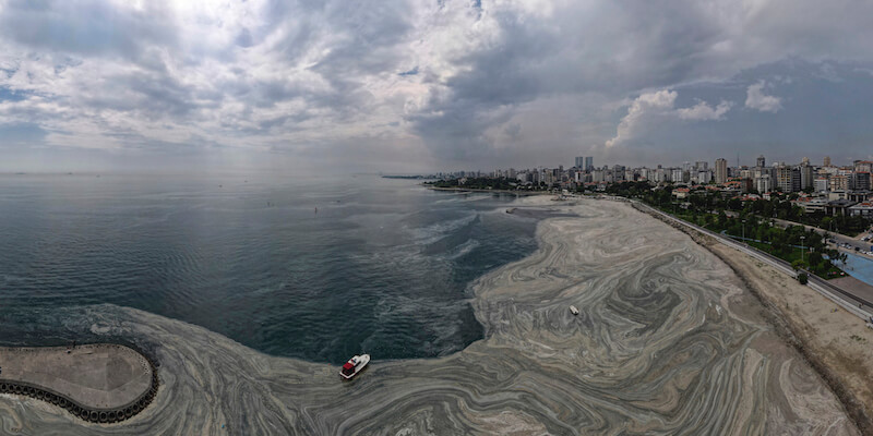 Spiaggia di Caddebostan, poco fuori Istanbul, 7 giugno
(AP Photo/Kemal Aslan)