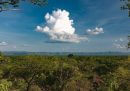 Le critiche al progetto forestale di Eni in Zambia