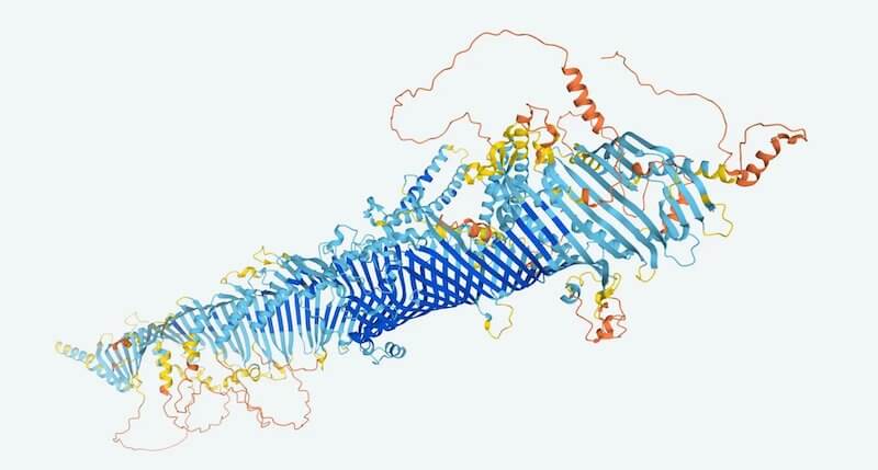 La previsione della struttura di una proteina elaborata da AlphaFold (DeepMind)