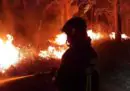 Perché ogni estate in Sicilia ci sono migliaia di incendi