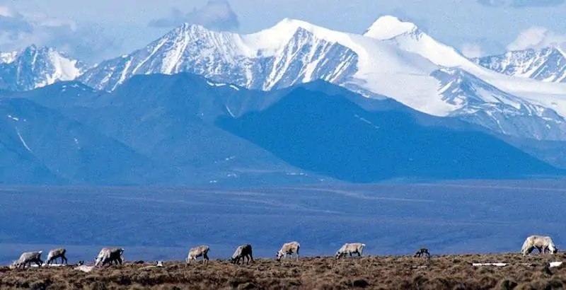 Un tribunale dell'Alaska ha deciso che una grande area nel nord dello stato non potrà essere trivellata per via del cambiamento climatico