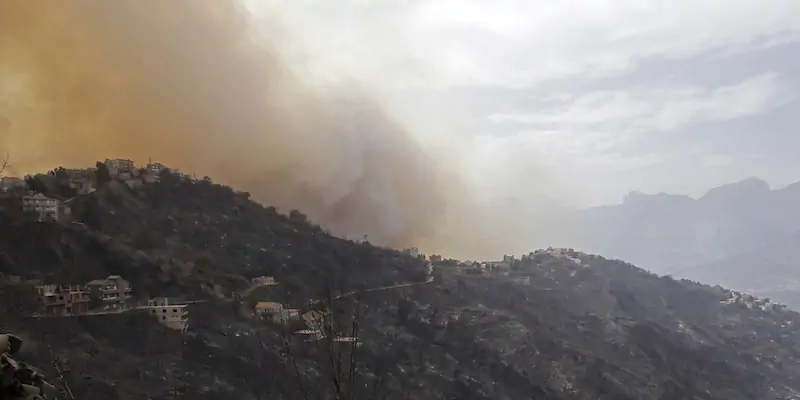 Un incendio vicino a Tizi Ouzou, un centinaio di chilometri a est di Algeri. (AP Photo/ Fateh Guidoum)