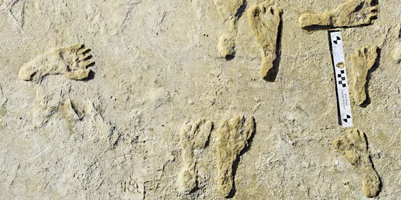 Le più antiche impronte umane mai trovate sul suolo americano