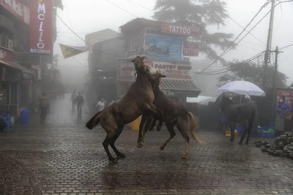 Dharmsala, India