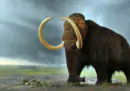 Creare elefanti-mammut per salvare l'Artico