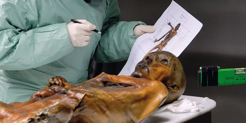 La mummia di Ötzi (© Museo Archeologico dell'Alto Adige
/EURAC/Samadelli/Staschitz)