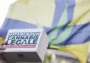 Le firme necessarie per organizzare un referendum sulla cannabis legale sono state depositate in Cassazione