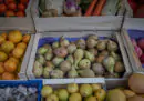 Da gennaio 2022 la Francia vieterà gli involucri di plastica per la maggior parte della frutta e della verdura