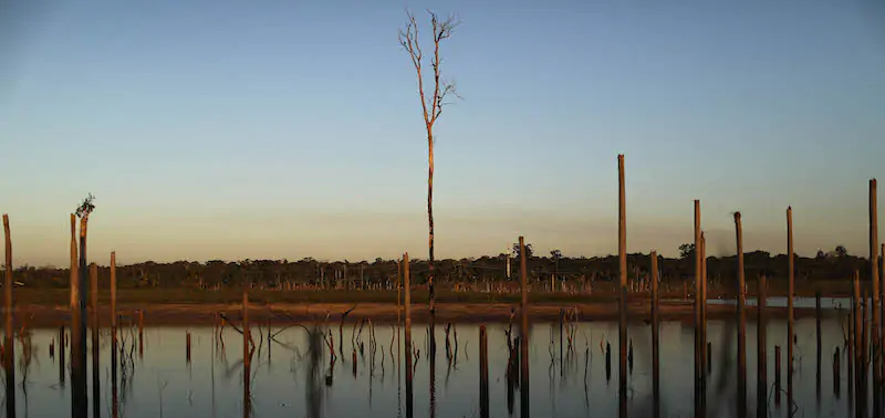 La deforestazione in Amazzonia peggiora