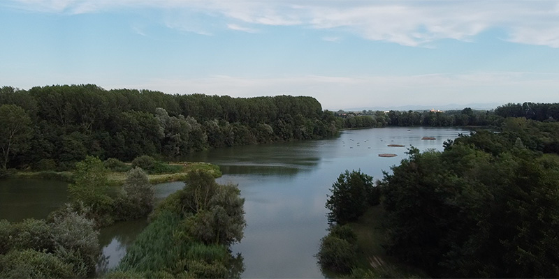 La natura di 1000 anni fa, a Giussago Il Post