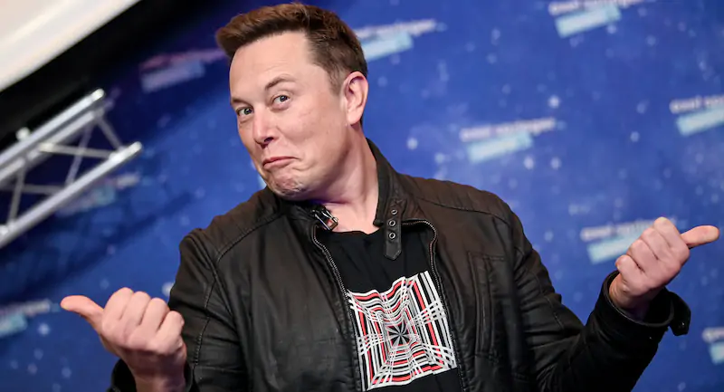 Elon Musk (Britta Pedersen-Pool/Getty Images)