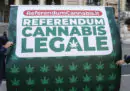 Lega e Fratelli d'Italia hanno provato a bloccare il referendum sulla cannabis con un emendamento, senza riuscirci