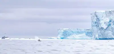 La fine di uno degli iceberg più grandi di sempre