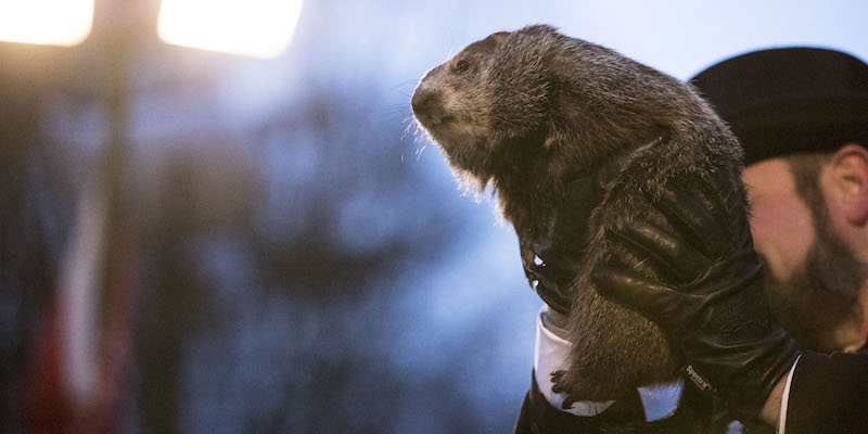 Oggi è il Giorno della marmotta