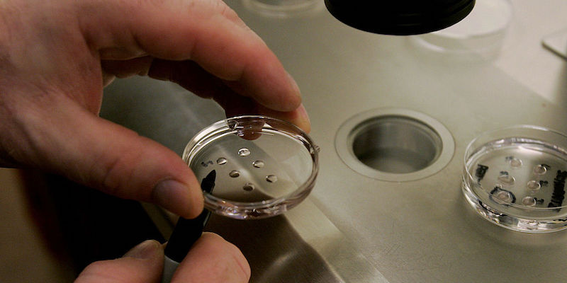 A Dutch gynecologist used his sperm to conceive several women