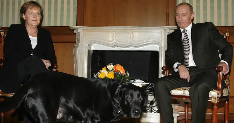 La volta in cui il presidente russo Vladimir Putin accolse l'allora cancelliera tedesca Angela Merkel con un grosso Labrador nero, pur conoscendo la sua paura dei cani (AP Photo/Mikhail Metzel, File)