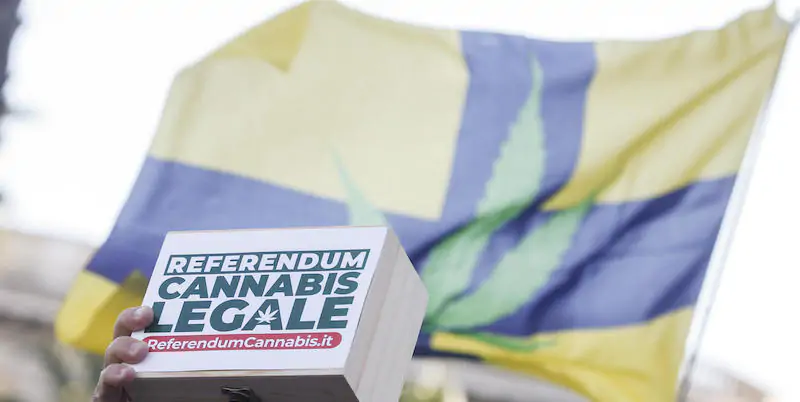 Le discussioni sulla bocciatura del referendum sulla cannabis