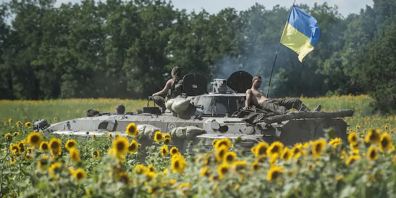 Soldati ucraini in un campo di girasole, nel 2014 (AP Photo/Evgeniy Maloletka, File)