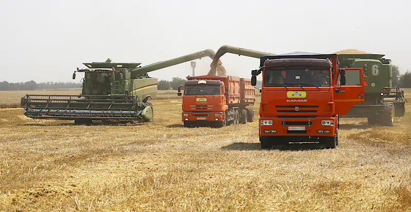L'aumento dei prezzi di grano e fertilizzanti rischia di causare una crisi alimentare globale
