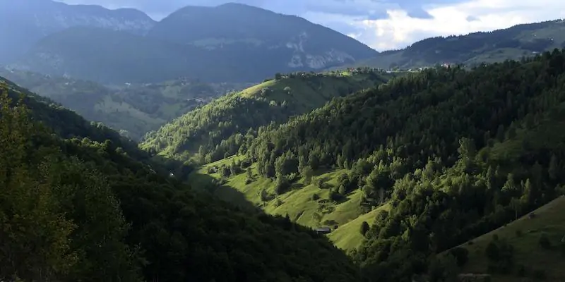Foreste nei monti Piatra Craiului, Romania centrale, nel 2018 (EPA/ROBERT GHEMENT, ANSA)