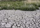 In California, a causa della prolungata siccità, sono state introdotte alcune misure di emergenza per ridurre il consumo di acqua