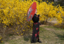 Pechino, Cina
