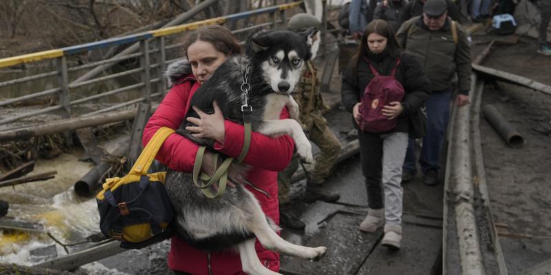 animali guerra ucraina