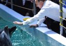 La Russia ha mobilitato anche i delfini in Ucraina