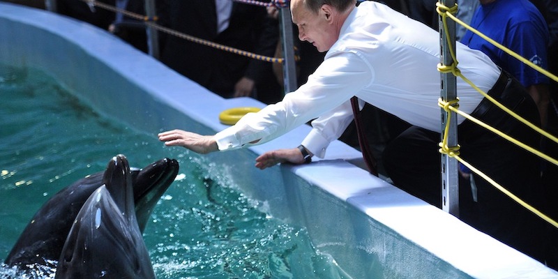 Il presidente russo Vladimir Putin insieme a due delfini in un acquario sull'isola Russkij, vicino al porto di Vladivostok, il primo settembre 2013 (AP Photo/RIA Novosti, Alexei Nikolsky, Ufficio stampa della presidenza russa)