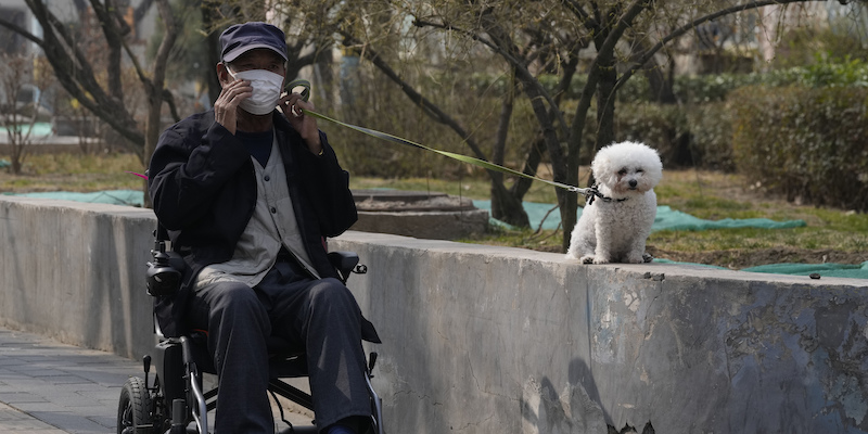 A Pechino non piacciono i cani grandi