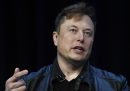 Alcuni azionisti di Twitter hanno fatto causa a Elon Musk e allo stesso Twitter, per la caotica operazione d'acquisto dell'azienda