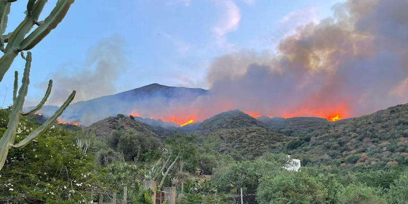 L'incendio sull'isola di Stromboli
(ANSA/Francesco Terracina)