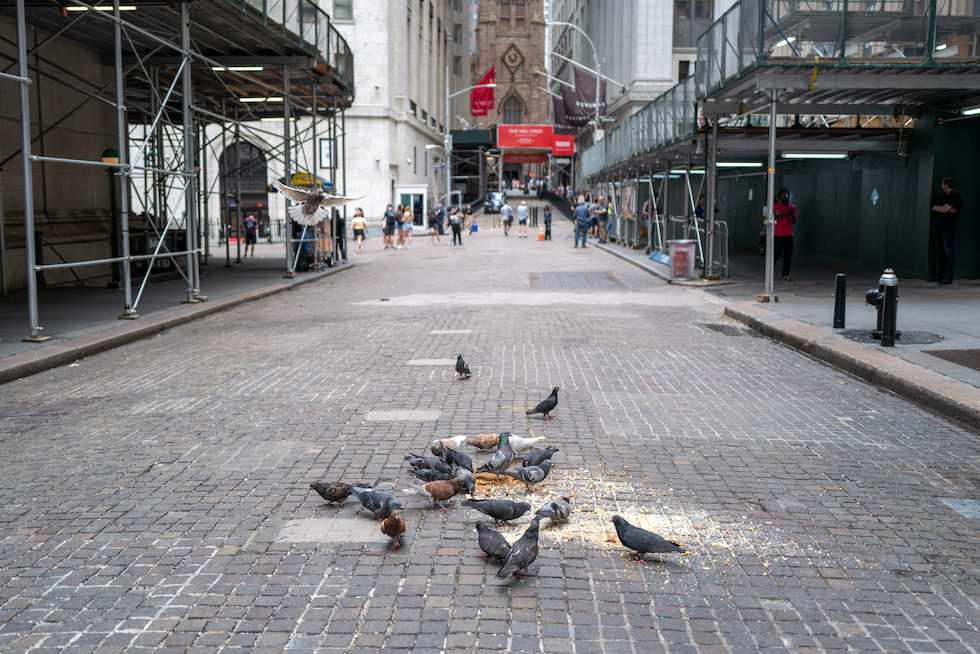 piccioni Manhattan