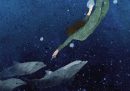 L’esperimento che provò a insegnare a parlare a un delfino