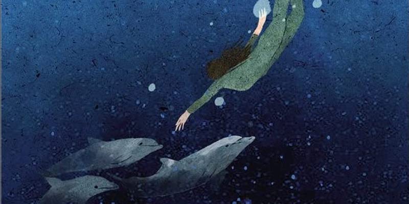 Un dettaglio della copertina di "La casa dei delfini" di Audrey Schulman (E/O)