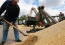 Il blocco del grano ucraino continua a essere un grosso problema