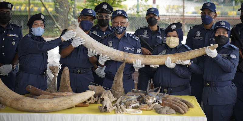 (AP Photo/Vincent Thian)