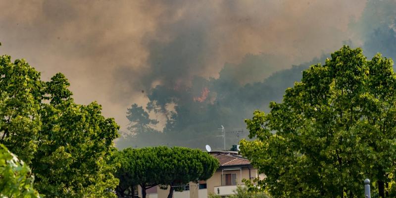 Un'immagine dell'incendio di Massarosa, a Lucca (ANSA/RICCARDO DALLE LUCHE)