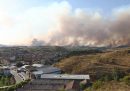 Un incendio in Spagna è stato causato da una società che pianta alberi