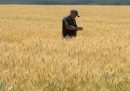 C'è un accordo per sbloccare il grano ucraino