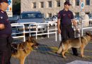 Che cosa fanno i cani poliziotto