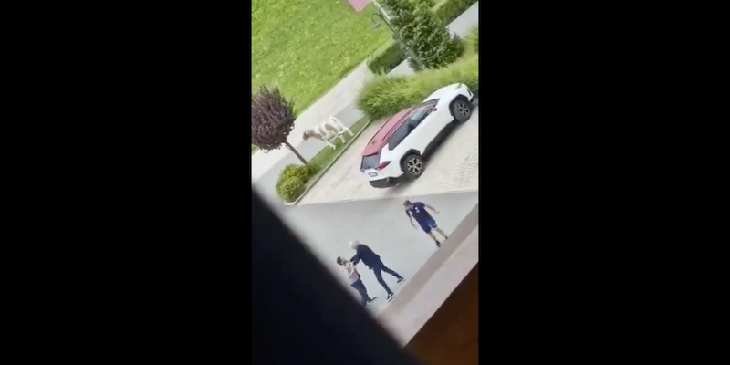 Il video della violenta lite tra l’allenatore e il direttore sportivo del Torino