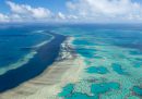La Grande Barriera Corallina australiana sta un po' meglio
