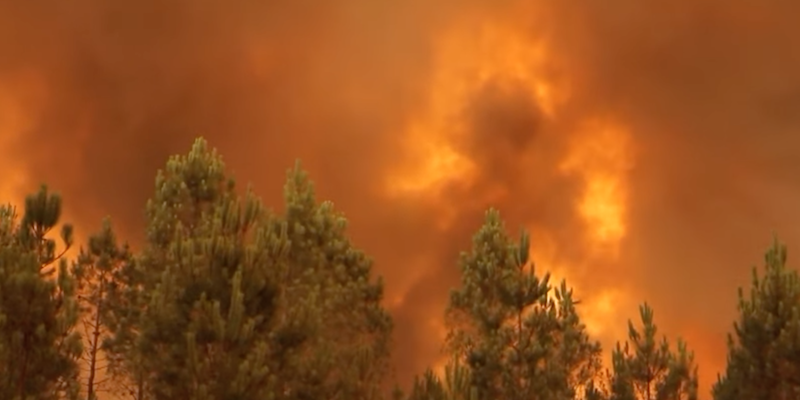 Un'immagine dell'incendio in corso diffusa da Euronews (via YouTube)