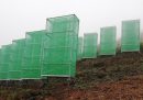 Alle Canarie si raccoglie la nebbia