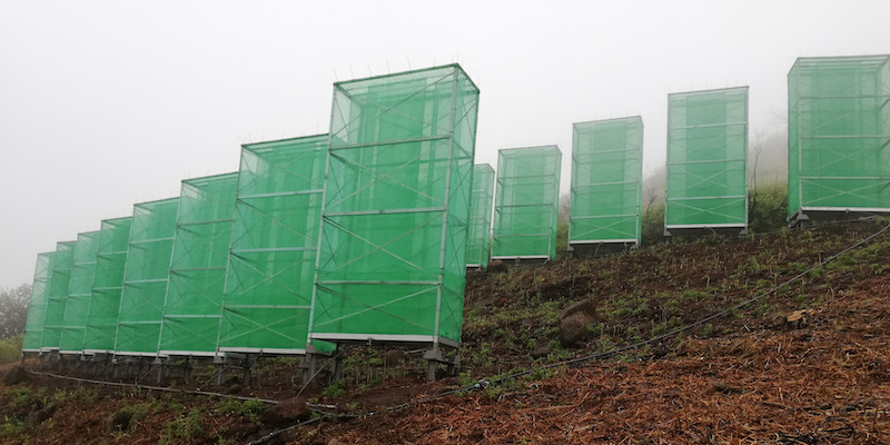 I dispositivi per la raccolta dell'acqua contenuta nella nebbia del progetto Life Nieblas a Gran Canaria (Life Nieblas)