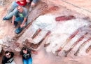 Sono stati trovati in un giardino i resti di uno dei dinosauri più grandi mai scoperti in Europa