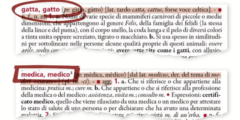Il primo vocabolario italiano che non privilegia il maschile - Il Post
